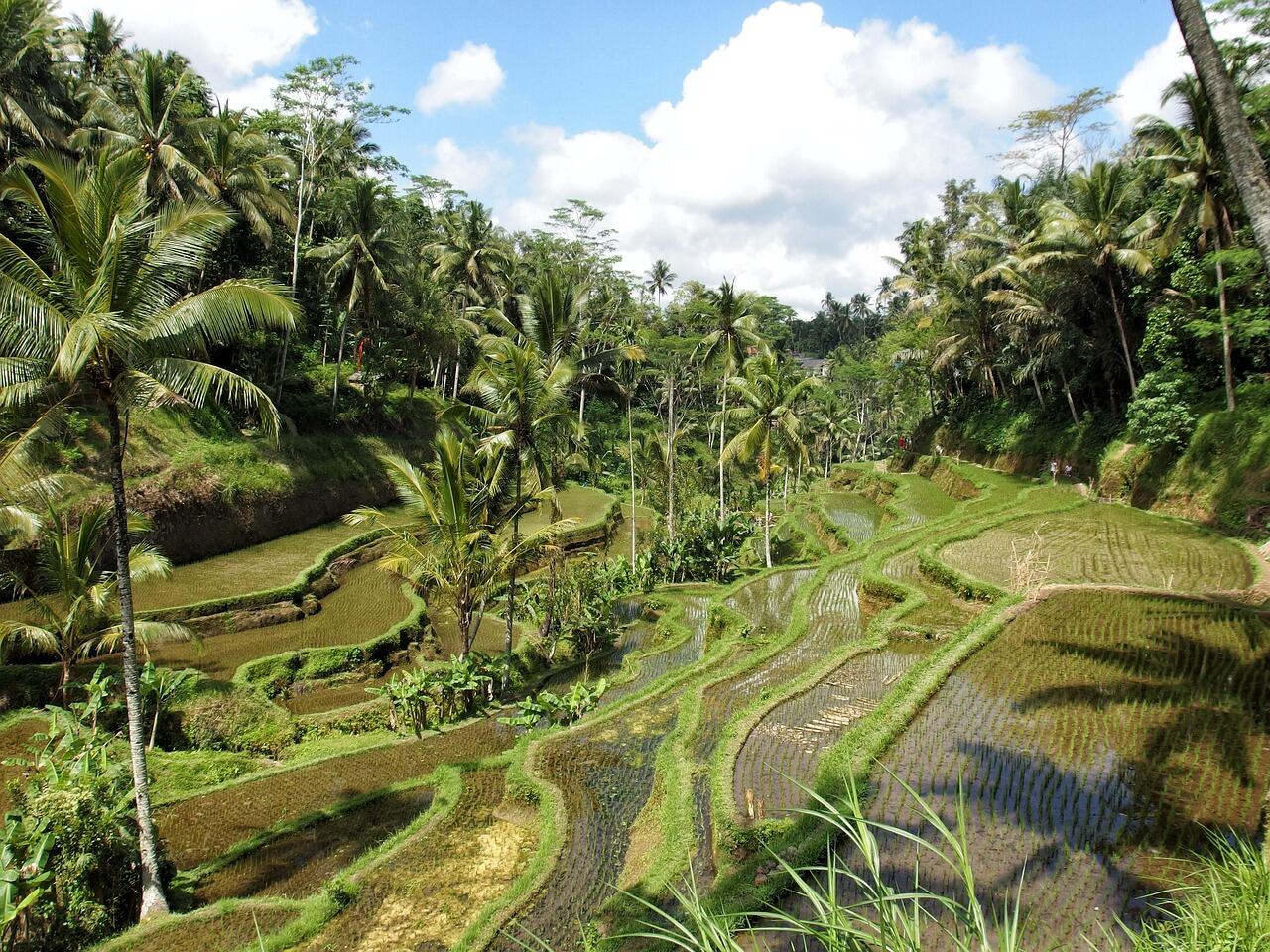 Ubud Traditional Art Market, Bali