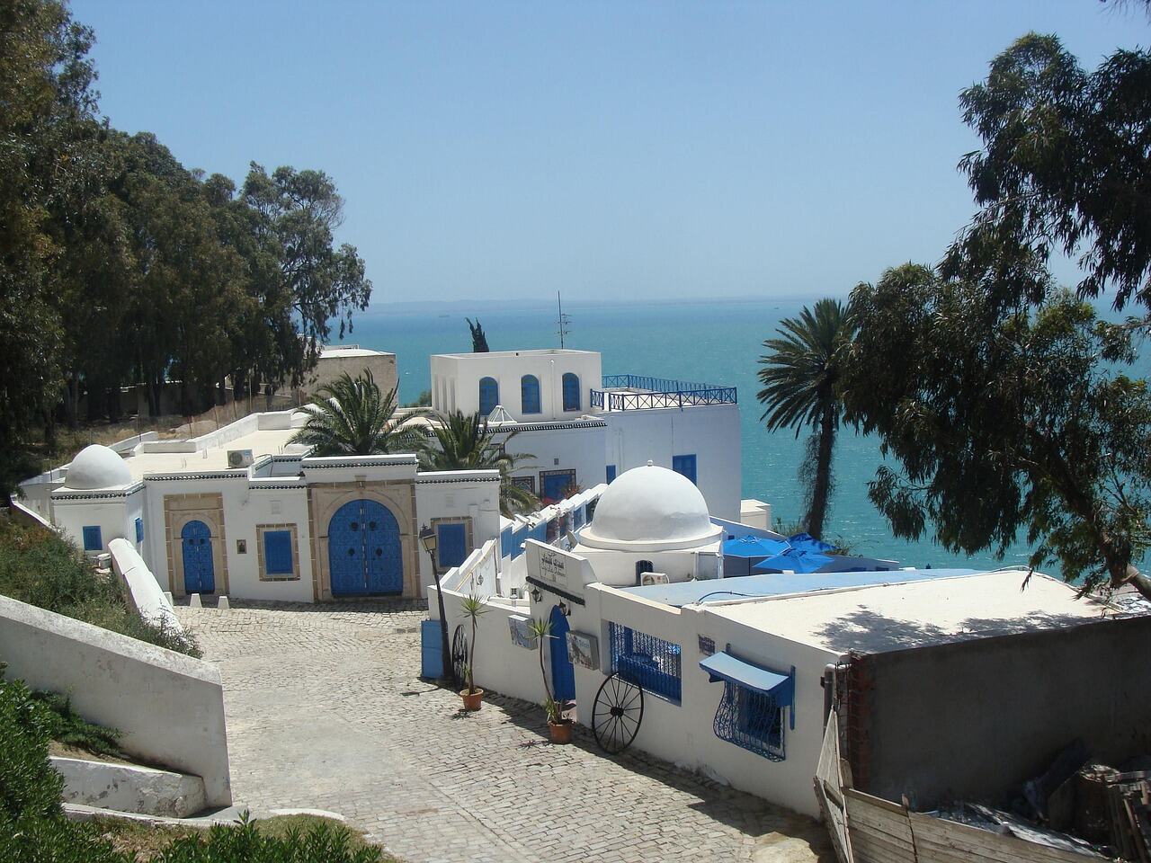 Bab Bou Jeloud (The Blue Gate), Fez