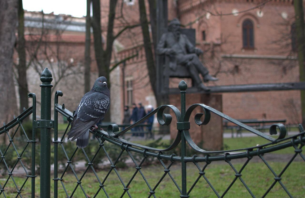 Planty Park, Krakow