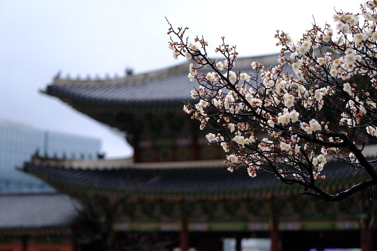 Gyeongbokgung Palace, Seoul