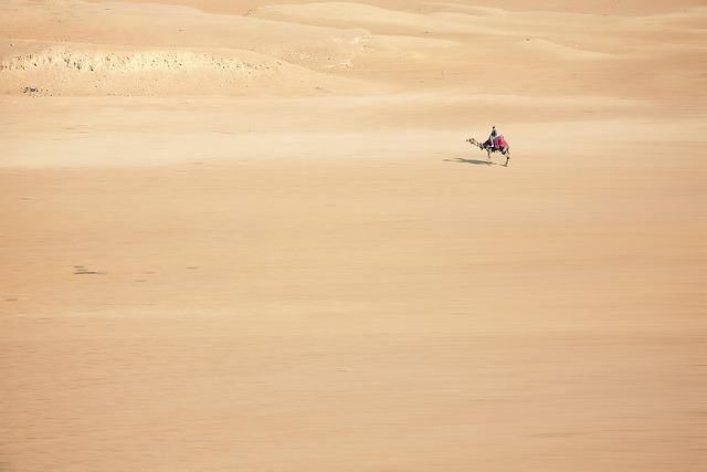 sand, camel, desert, nature, cairo, egypt, africa, desert ship, sand dune, sahara, drought, expanse, camel driver, horse riding, adventurer, adventure