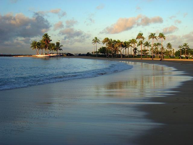 hawaii, waikiki beach, sand, sea, ocean, surf, waves, sandy, sky, nature, clouds, palm, palm tree, palms, scenery, landscape, tropics, beach, water, tree, palm fronds, palm trees, exotic, holiday, waikiki, beautiful, tranquil, blue beach, blue tree, blue beauty, blue sand, blue waves
