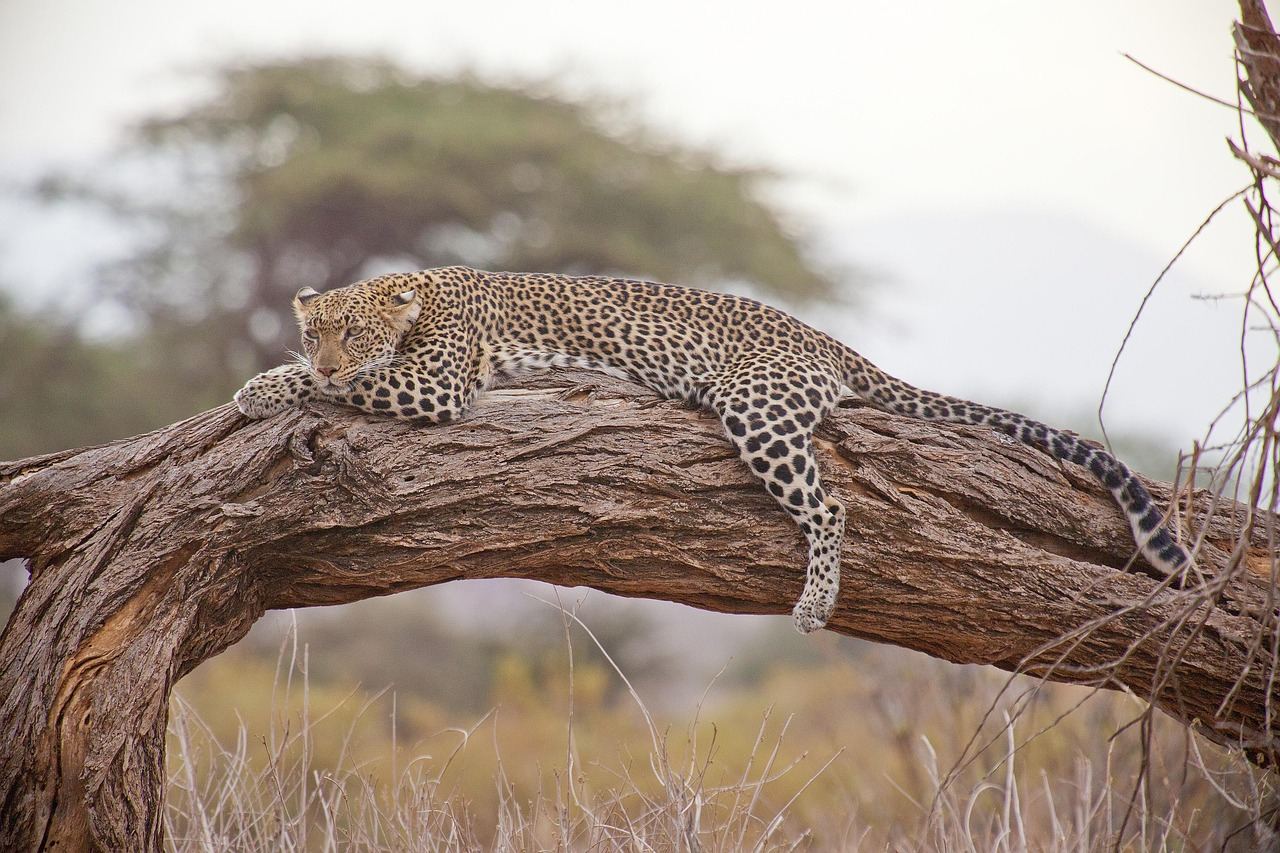 Nairobi, Kenya
