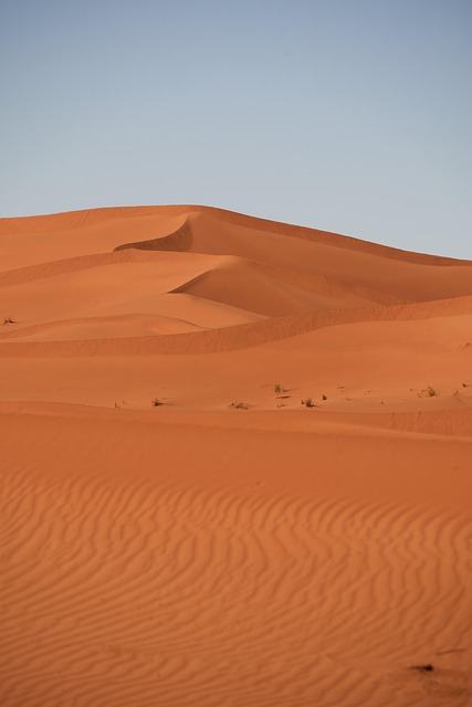 Africa